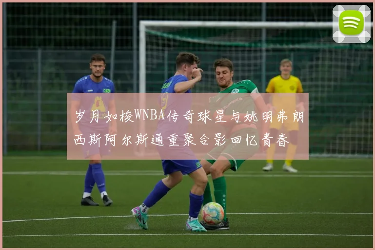 岁月如梭WNBA传奇球星与姚明弗朗西斯阿尔斯通重聚合影回忆青春